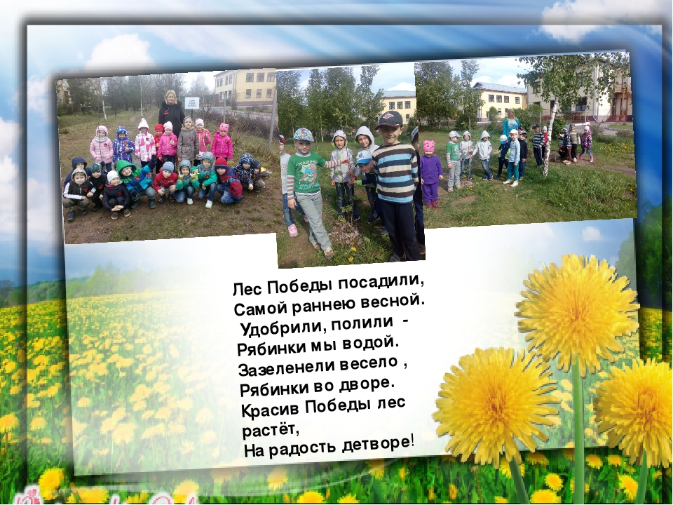 Презентация "Огород круглый год"