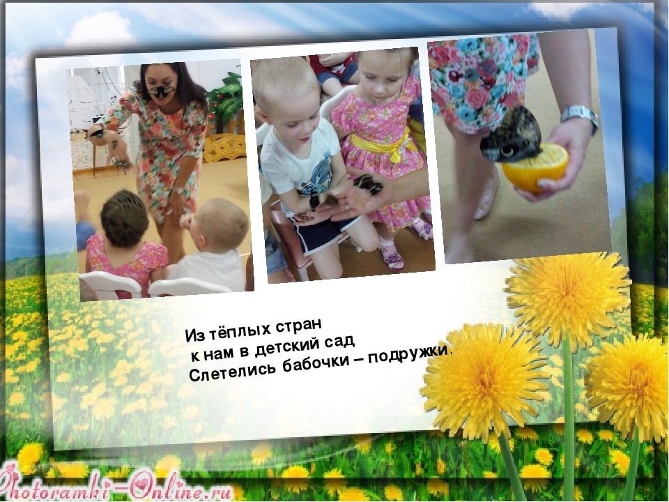 Презентация "Огород круглый год"