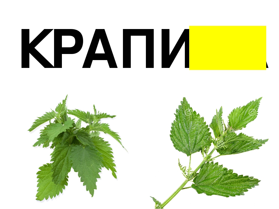 Презентация по обучению грамоте "Договори словечко"