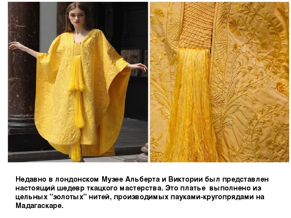 Презентация "Пауки - это кто?"