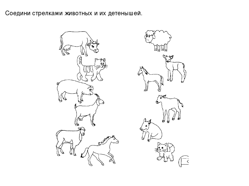 Презентация по ознакомлению с окружающим для детей дошкольного возраста