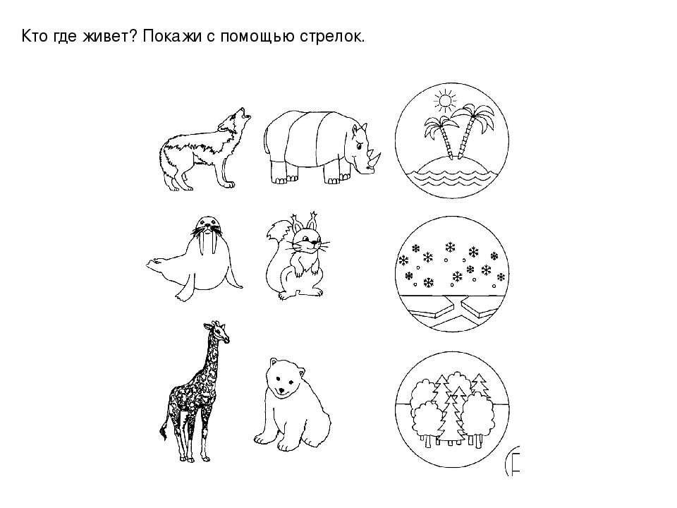 Презентация по ознакомлению с окружающим для детей дошкольного возраста