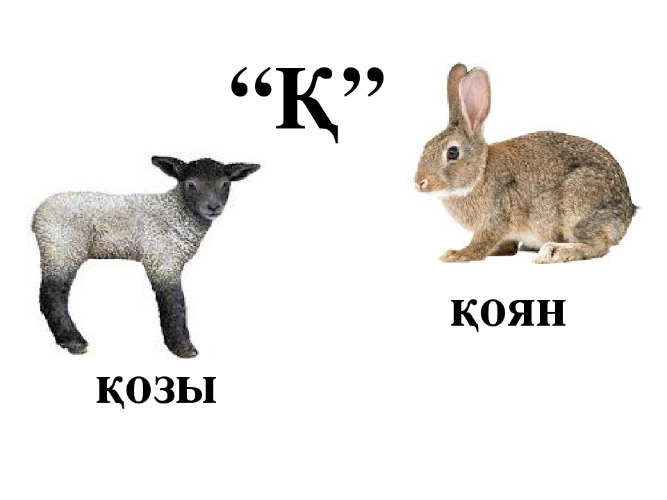 Презентация на тему "Дыбыстық жаттығулар"