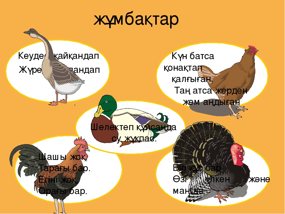 Құстар тех карта балабақшада