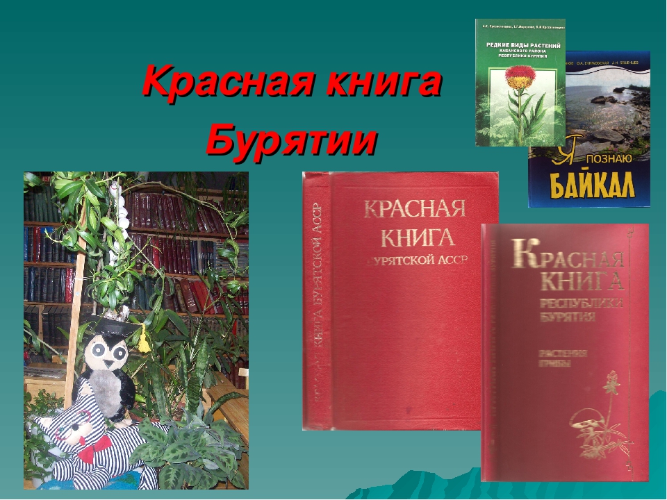 Красная книга бурятии. Красная книга. Красная книга Республики Бурятия. Животное красной книги Бурятии. Первая красная книга Бурятии.