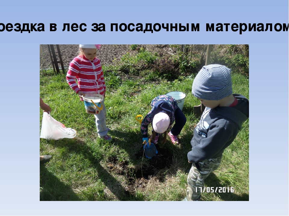 Презентация "Маршрут выходного дня "