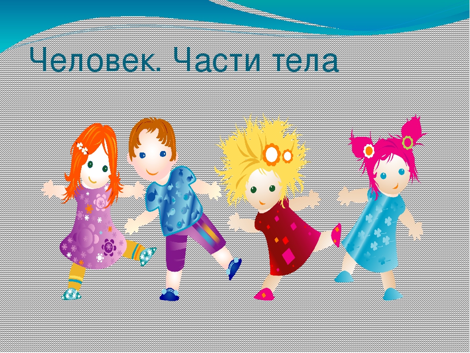Презентация на тему "Части тела"