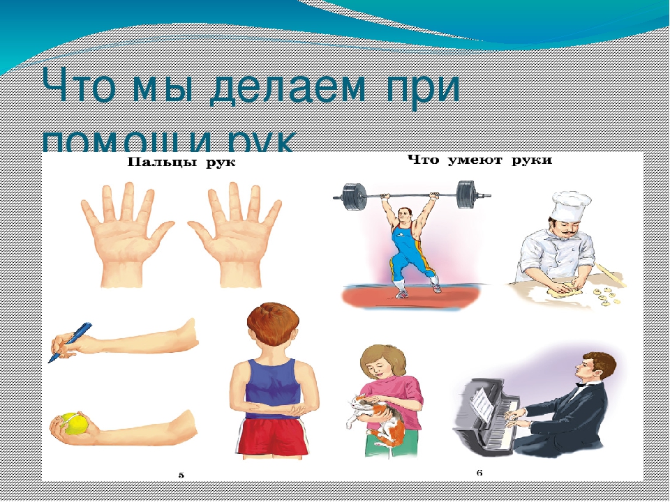 Презентация на тему "Части тела"