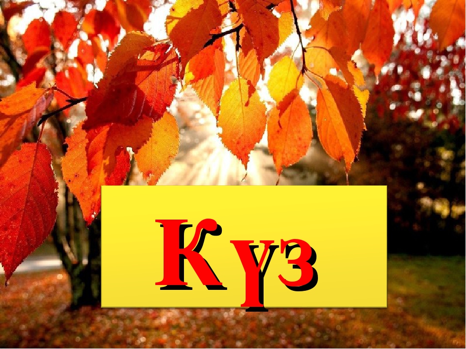 Сайты куз. Осень на казахском языке. Осенние месяцы на казахском языке. Картинки про осень на казахском. Месяца осени на казахском.