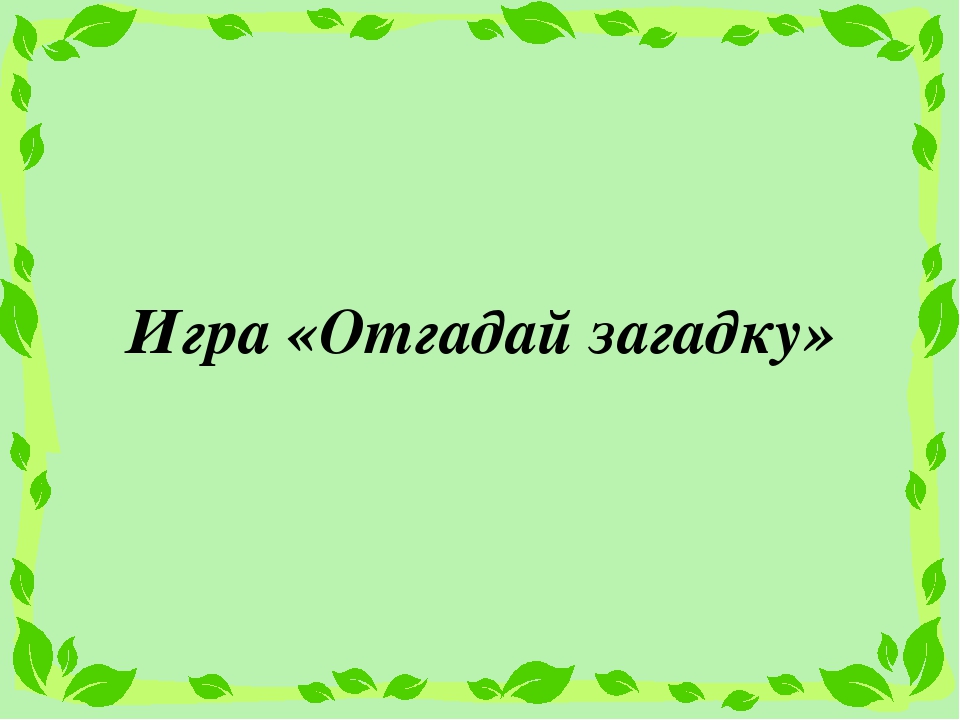 Презентация на тему ПДД