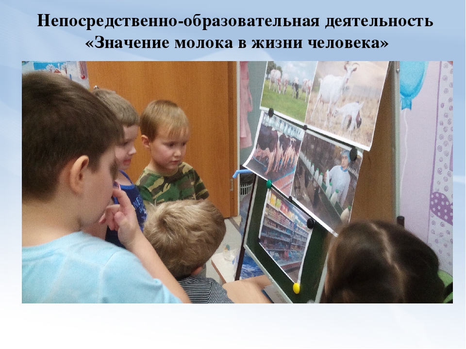 Проектно-экспериментальная деятельность в старшей группе «Молоко»