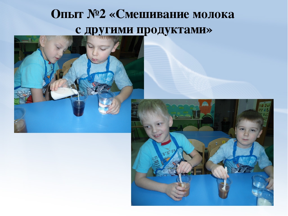 Проектно-экспериментальная деятельность в старшей группе «Молоко»