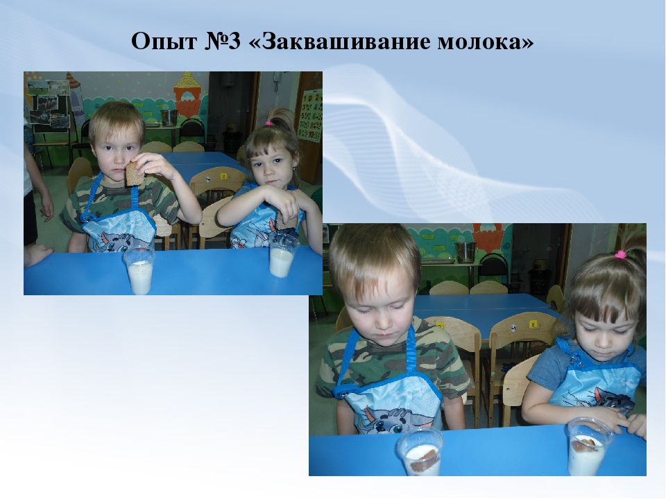 Проектно-экспериментальная деятельность в старшей группе «Молоко»