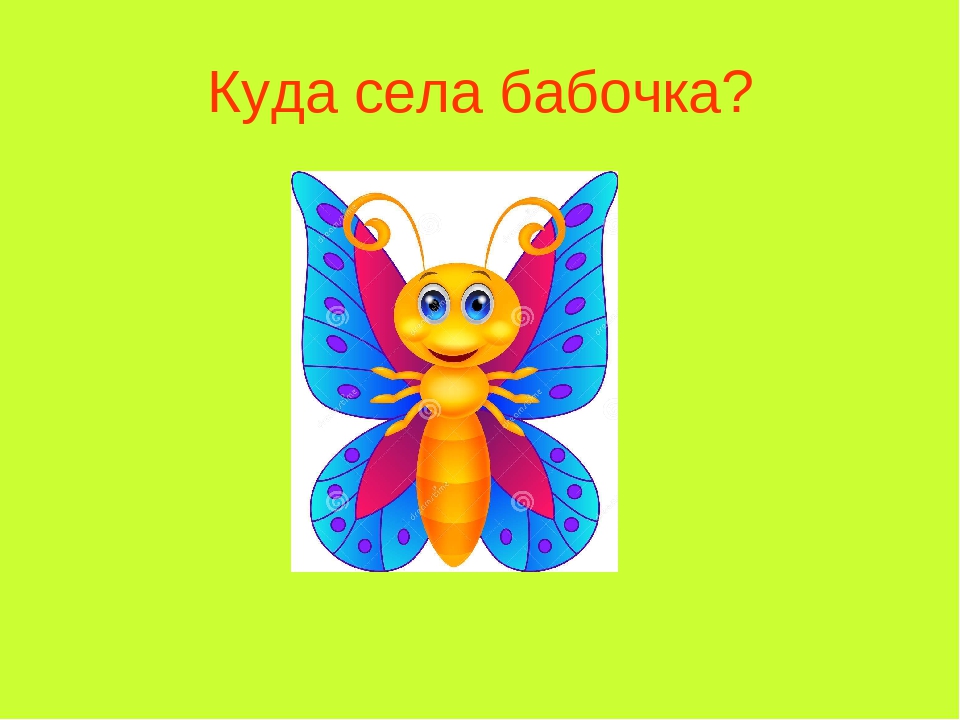 Куда сесть. Куда села бабочка. Дидактическая игра куда села бабочка. Игр куда села бабочка для детей. Куда полетела бабочка.