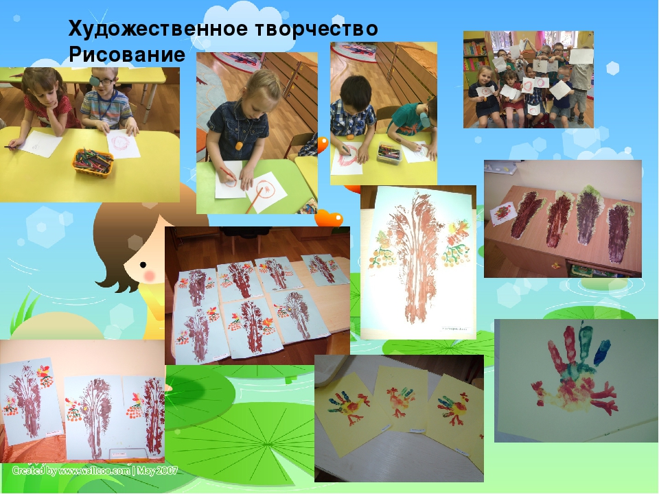 Презентация к проекту "Природа моего края"
