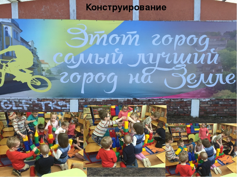 Презентация к проекту "Природа моего края"