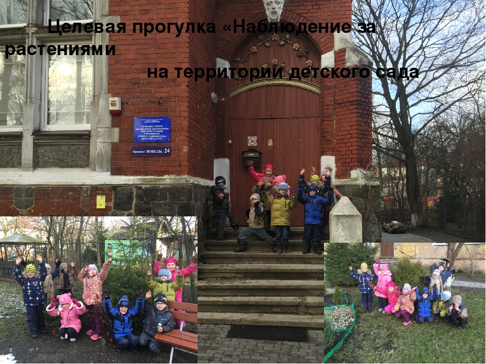 Презентация к проекту "Природа моего края"