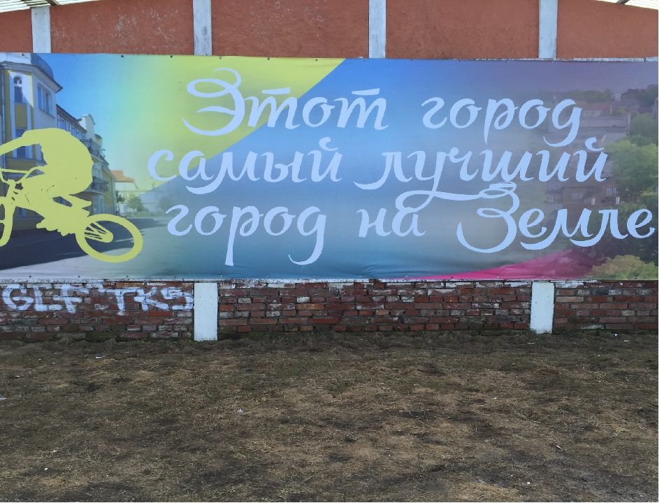 Презентация к проекту "Природа моего края"