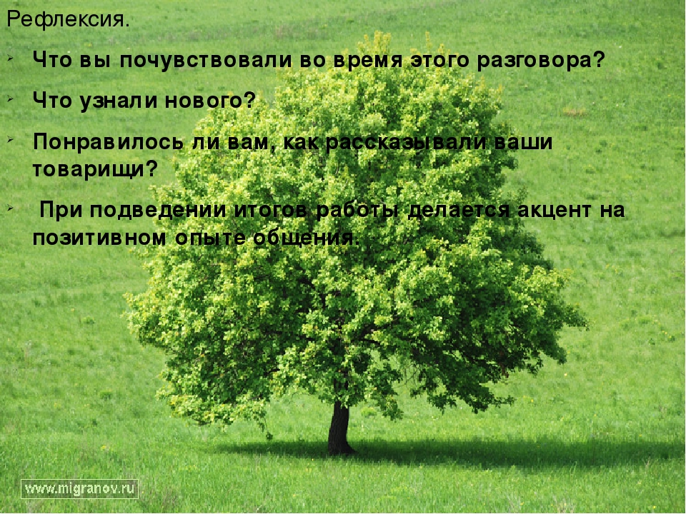 Презентация совместного с родителями проекта "Верность родной земле"