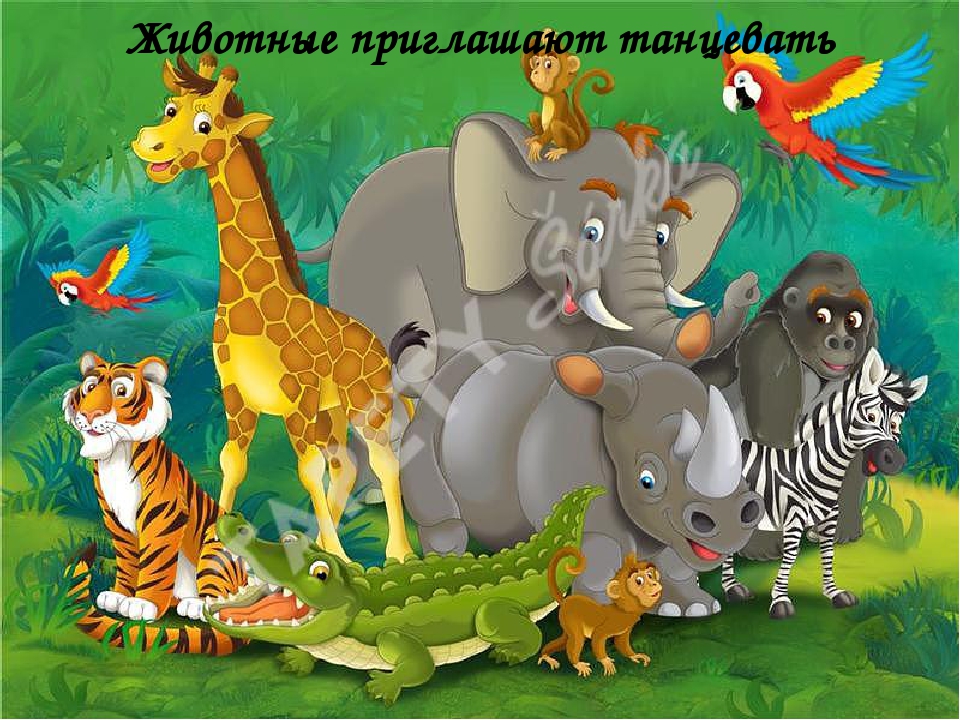 Видео занятие по взаимодействию воспитателя и тифлопедагога для детей подготовительной группы
