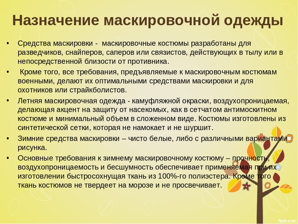 Презентация Дидактическая игра "Маскировочная одежда" (дошкольникам)