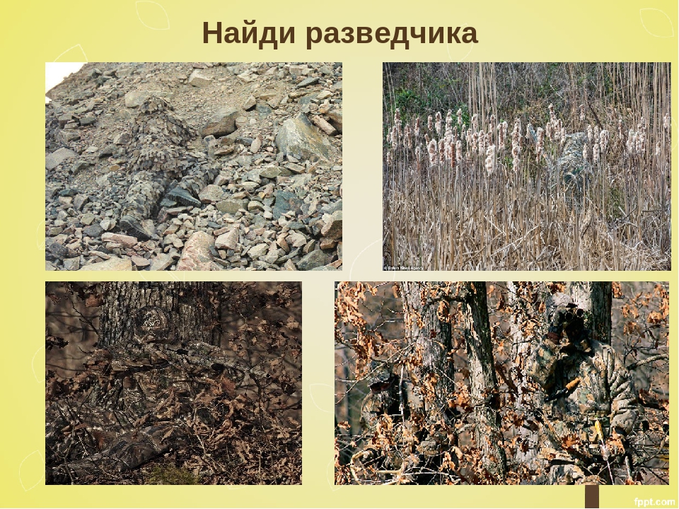 Презентация Дидактическая игра "Маскировочная одежда" (дошкольникам)