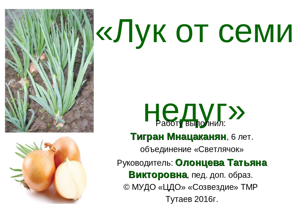 Проект лук от семи недуг 3 класс