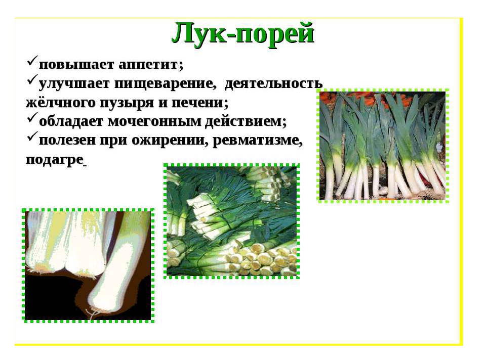 Презентация по Индивидуальному образовательному маршруту дошкольника "Лук от 7 недуг"