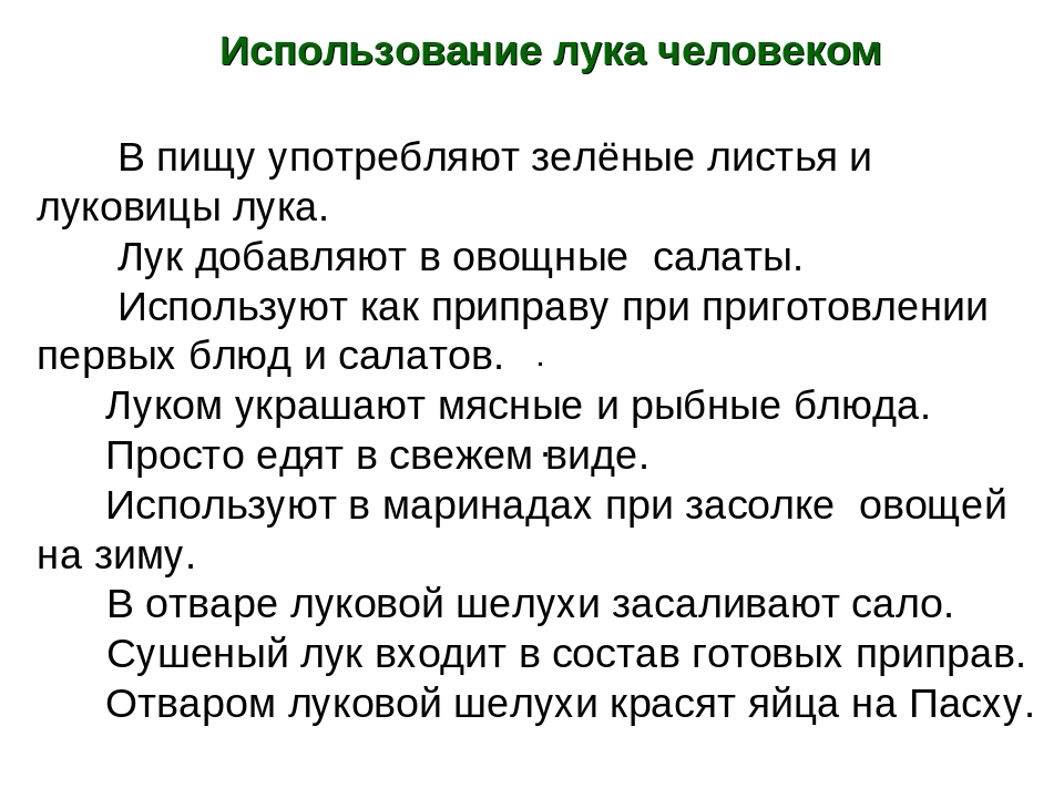 Презентация по Индивидуальному образовательному маршруту дошкольника "Лук от 7 недуг"