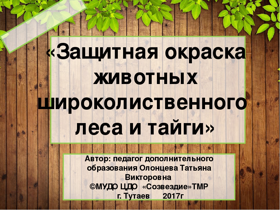 Презентация "Защитная окраска животных тайги и широколиственного леса" (дошкольникам)