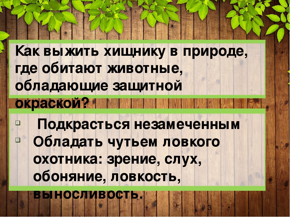 Презентация "Защитная окраска животных тайги и широколиственного леса" (дошкольникам)