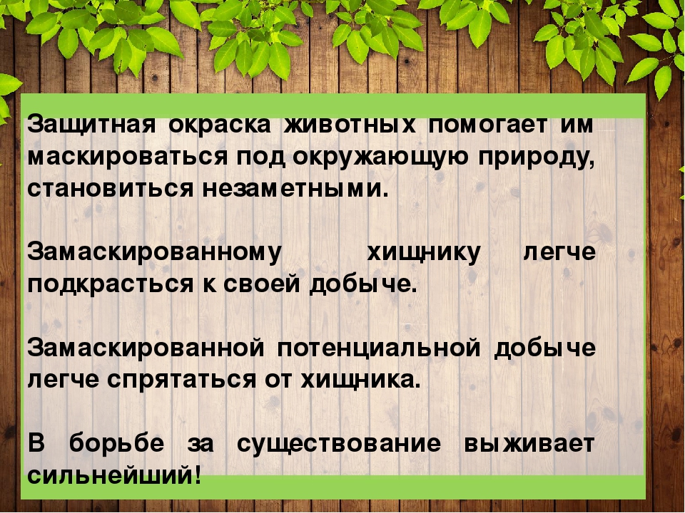 Создание презентации обитатели тайги