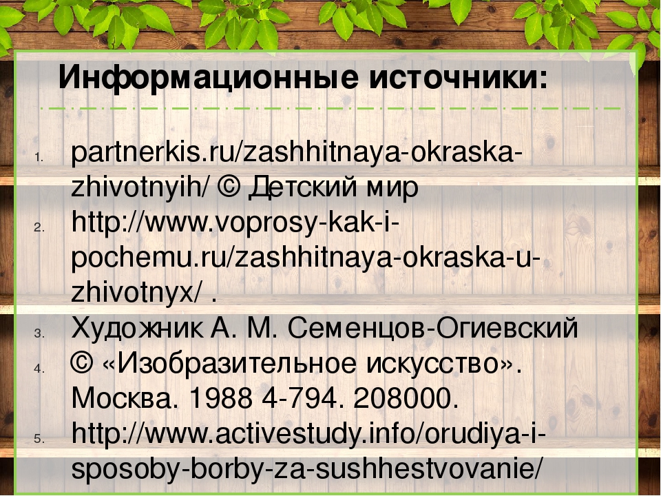Презентация "Защитная окраска животных тайги и широколиственного леса" (дошкольникам)