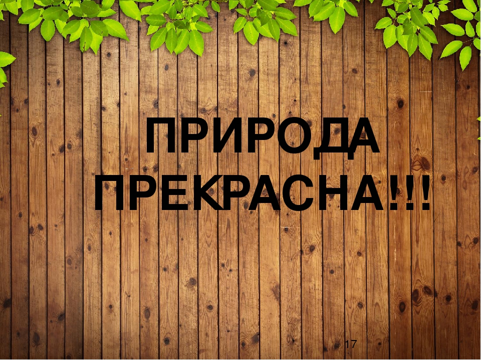 Презентация "Защитная окраска животных тайги и широколиственного леса" (дошкольникам)