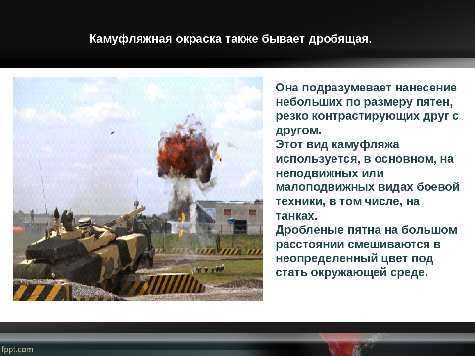 Презентация, как человек применяет знания о защитной окраске у животных в своих нуждах (дошкольникам)