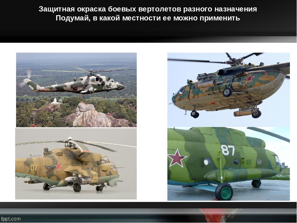 Презентация, как человек применяет знания о защитной окраске у животных в своих нуждах (дошкольникам)