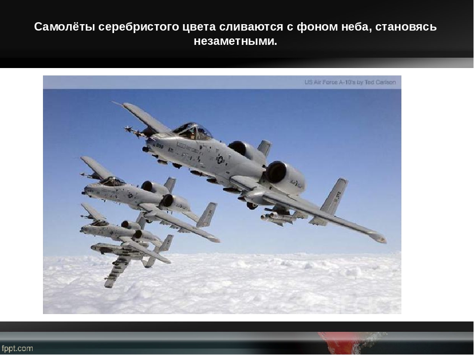 Презентация, как человек применяет знания о защитной окраске у животных в своих нуждах (дошкольникам)