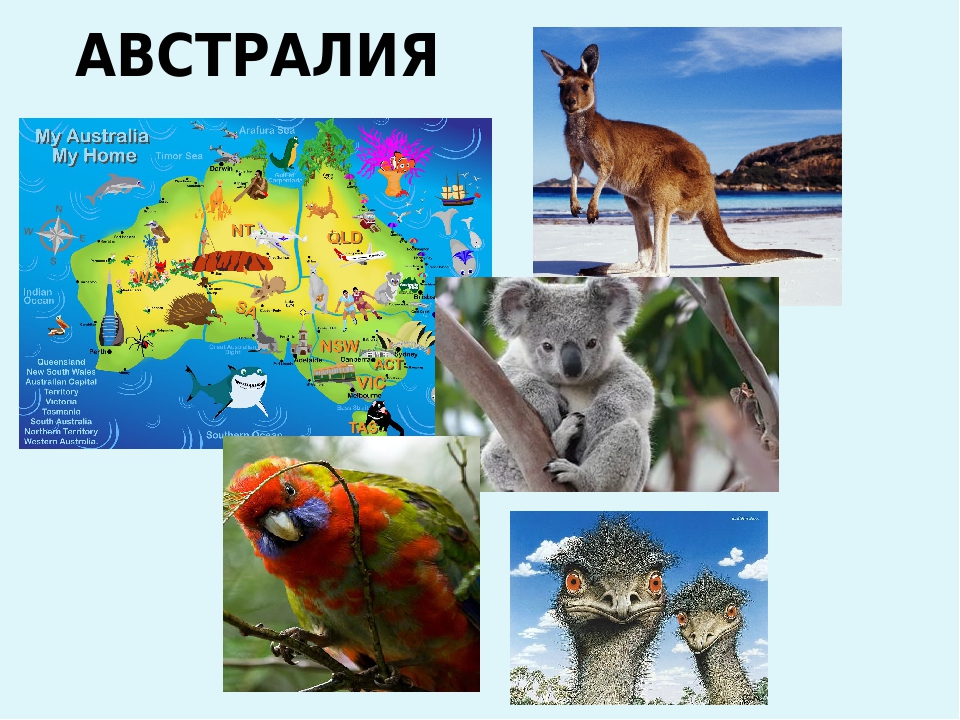 Презентация на тему "1 июня - День защиты детей"