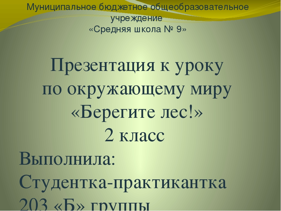 Презентация окружающий мир Берегите лес!