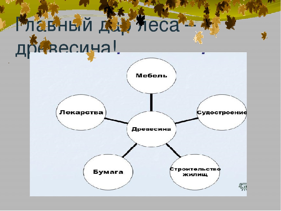 Презентация окружающий мир Берегите лес!
