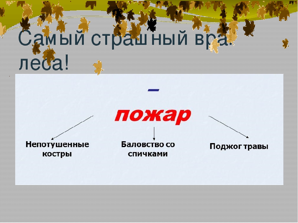 Презентация окружающий мир Берегите лес!