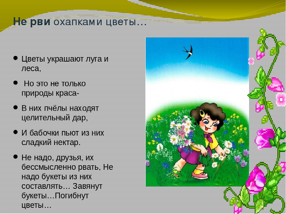 Презентация окружающий мир Берегите лес!