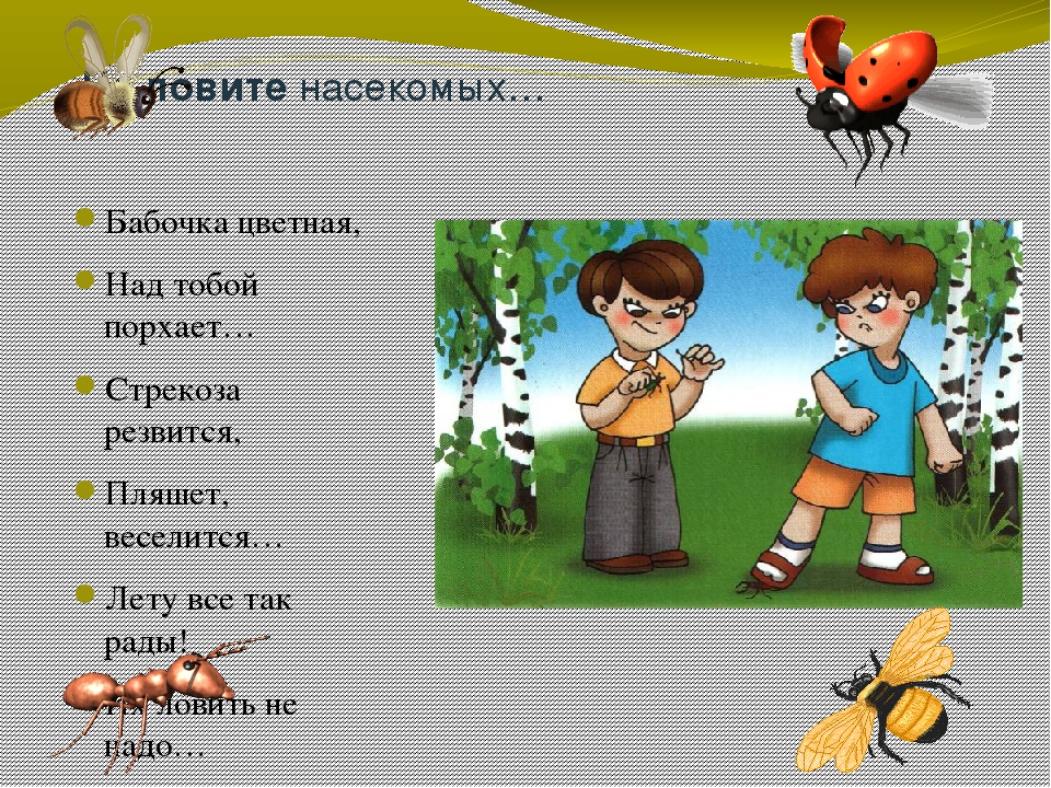 Презентация окружающий мир Берегите лес!