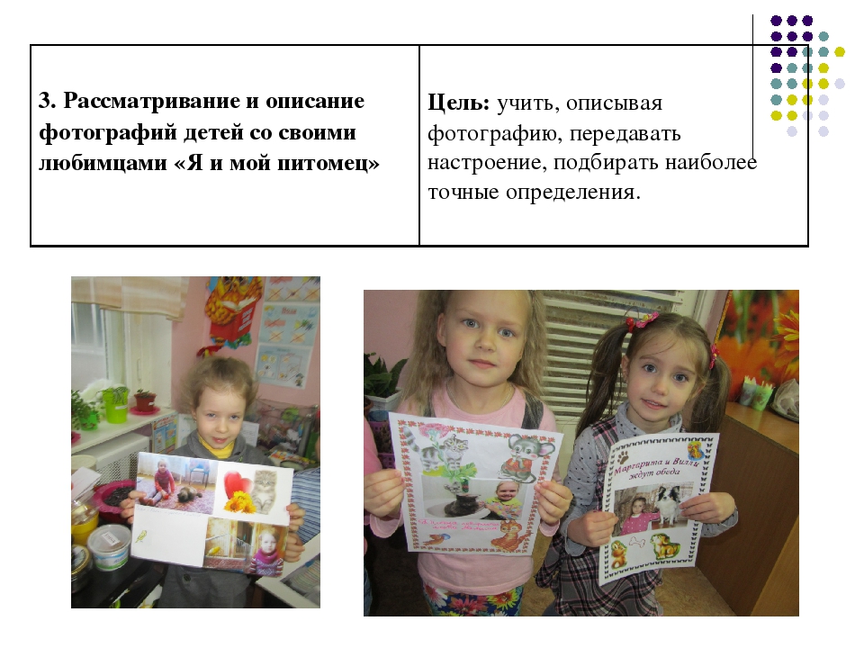 Презентация к проекту "Наши домашние любимцы"