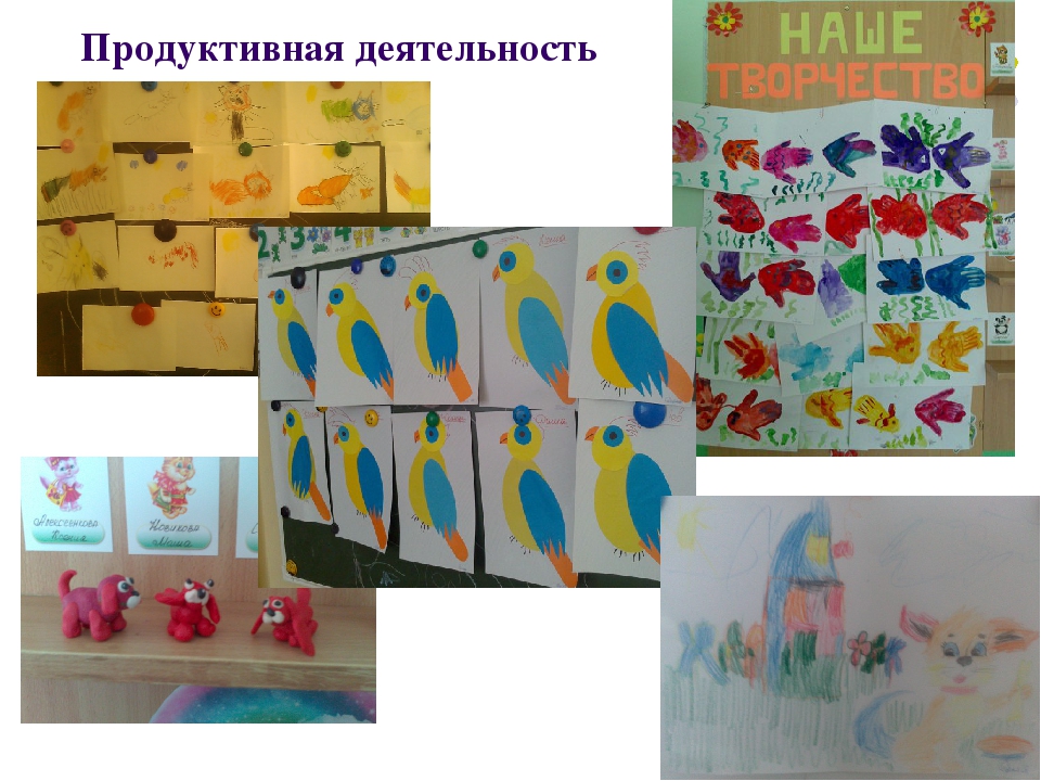Презентация к проекту "Наши домашние любимцы"