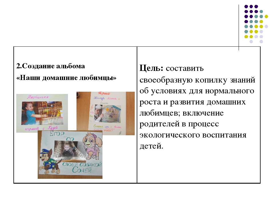 Презентация к проекту: "Наши домашние любимцы"