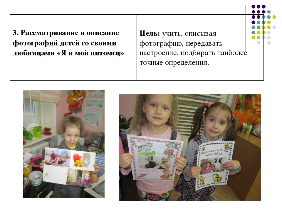 Презентация к проекту: "Наши домашние любимцы"