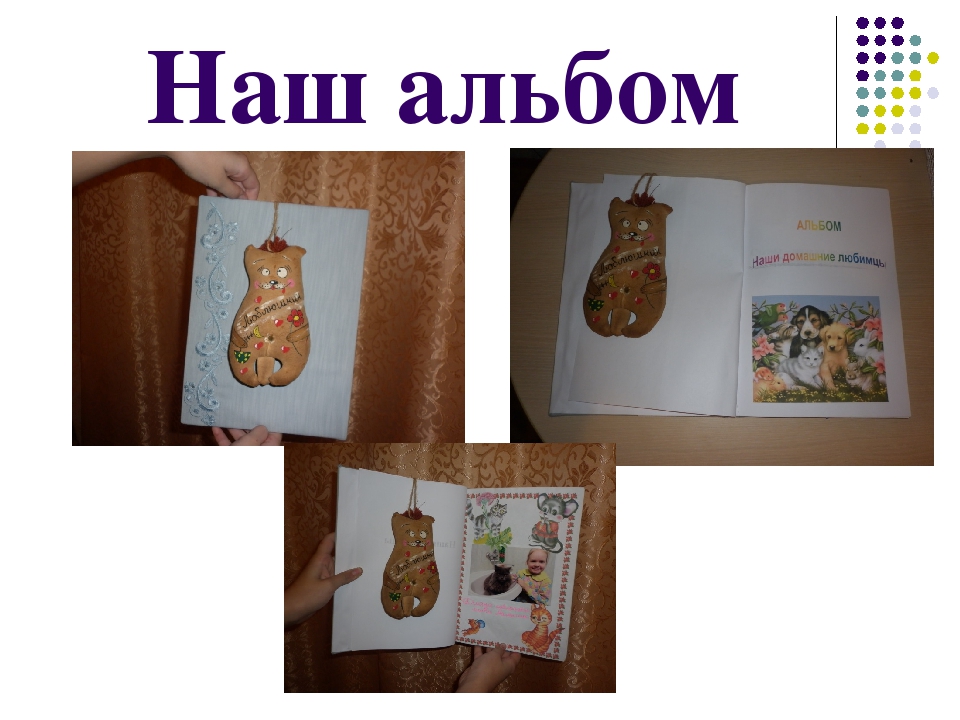 Презентация к проекту: "Наши домашние любимцы"