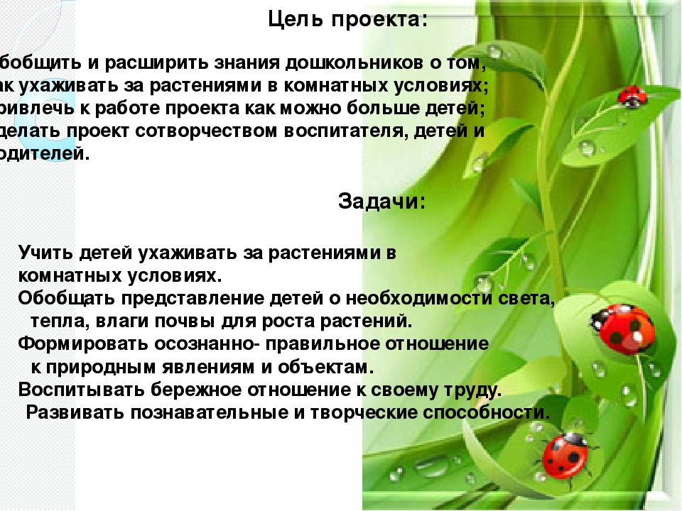 Презентация "Огород на окне"