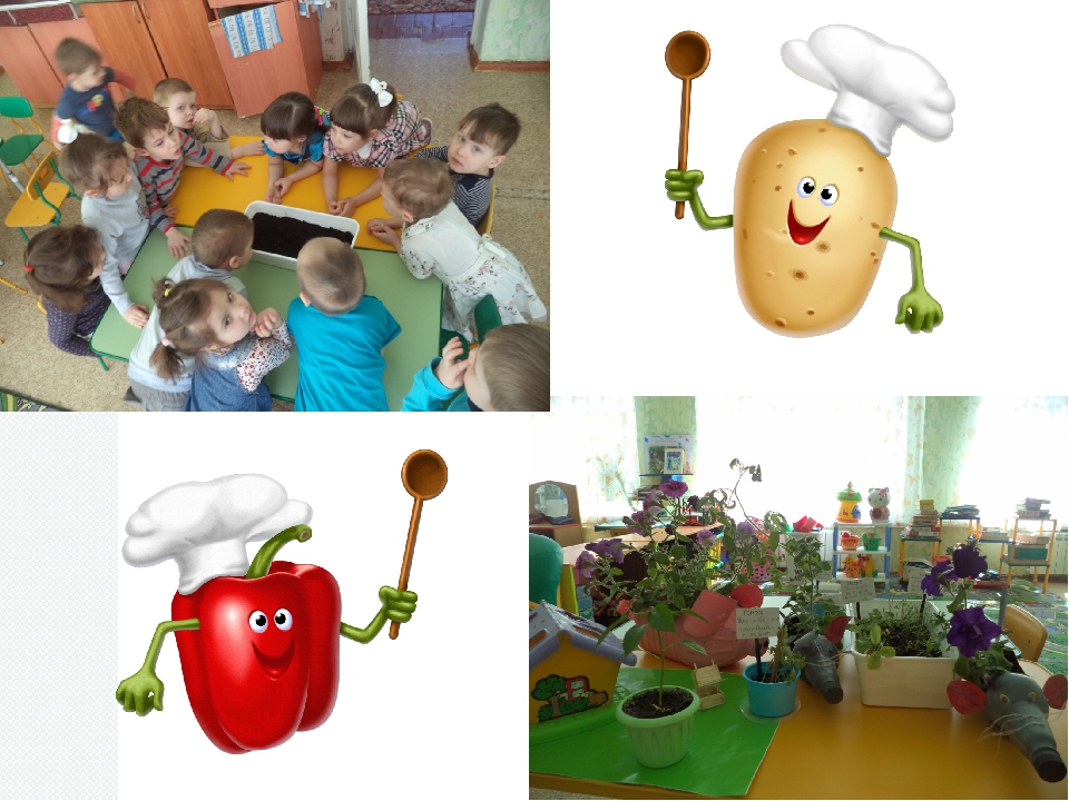 Презентация "Огород на окне"